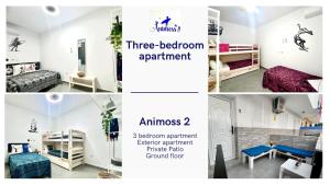 a collage of photos of a room with a bed and a bedroom apartment at ANIMOSS! APARTMENTS - 10 modern apartments near city center & beach in Santa Maria
