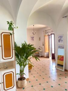 a hallway with a potted plant in a room at Positano's Flats in Positano