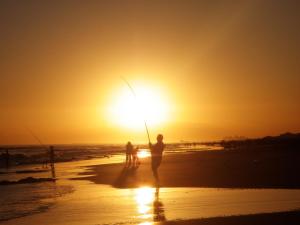 Φυσικό τοπίο κοντά σε αυτό το διαμέρισμα +6 φωτογραφίες