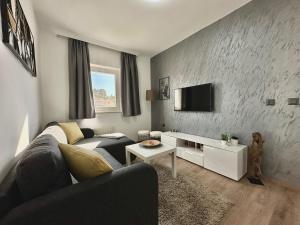 TV a/nebo společenská místnost v ubytování Charming Apartments Dodo