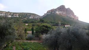Gallery image of Le Clos De La Tour in Cassis
