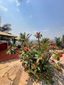 En-suite Ecolodge Room with Views of Safari Valley外面的花园