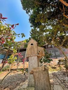 En-suite Ecolodge Room with Views of Safari Valley外面的花园