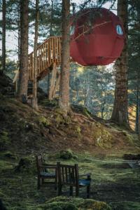 un banco y una casa en el bosque en the tree tent highland hangout, en Duirinish