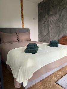 Rúm í herbergi á Krupajsko vrelo