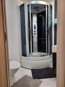 a bathroom with a shower and a toilet at Velvet loft apartment city centre in Narva-Jõesuu +14 photos