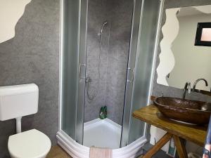 Baðherbergi á Krupajsko vrelo