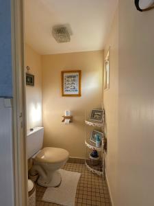 a bathroom with a toilet and a sink at Gîte la Floria in Sotteville-sur-Mer +12 photos