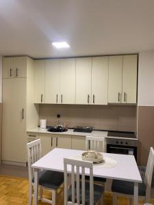 Kuchyň nebo kuchyňský kout v ubytování Apartman Filip2
