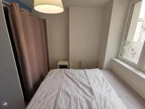 a bedroom with a large bed with a window at Chambre chez l'habitant- Saint-Étienne, France in Saint-Étienne