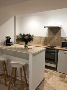 a kitchen with a counter with a vase of flowers on it at Charmant et Lumineux in Caussade