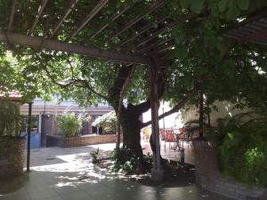 Um jardim em Grand Hotel Balbi