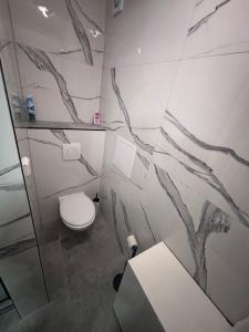 Kúpeľňa v ubytovaní Apartmán 11 Nová Lesná