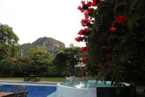 a view of a swimming pool with a bunch of flowers at Los Cruxes in Tepoztlán