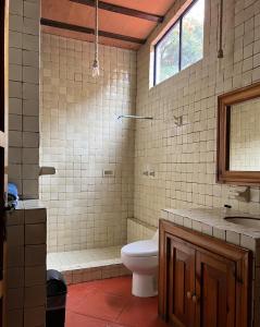 a bathroom with a toilet and a shower and a sink at Los Cruxes in Tepoztlán