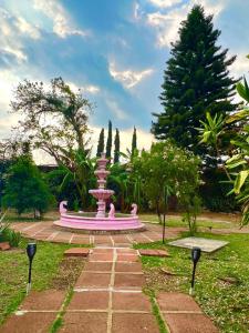 a pink fountain in the middle of a park at Los Cruxes in Tepoztlán