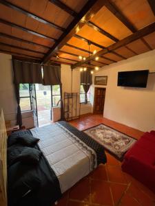 a bedroom with a large bed and a tv at Los Cruxes in Tepoztlán