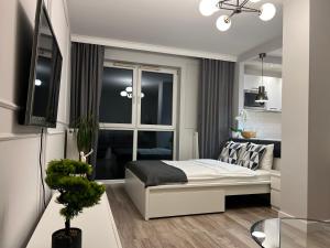 Televízia a/alebo spoločenská miestnosť v ubytovaní Airport Apartment Warszawa