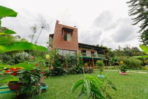 Zahrada ubytování Isla de pascua - Jardín - Hostel
