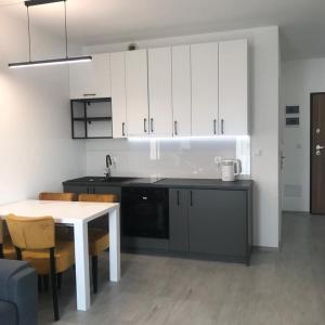 Kuchyňa alebo kuchynka v ubytovaní Apartament BARCELONA