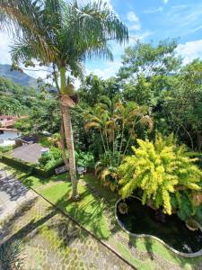ein Garten mit einer Palme und anderen Pflanzen in der Unterkunft Espaço Plataforma in Nova Friburgo