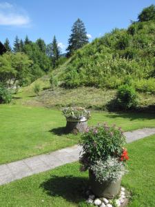 two large pots of flowers in a yard at Komfort-Ferienhaus Alpspitz in Grainau