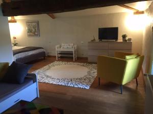 a living room with a bed and a tv and a couch at Le Vieux Logis de la Galocherie in Sainte-Florence