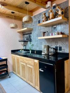 a kitchen with a black counter and a black refrigerator at Casa Coco H2 Arena in San Cristóbal de Las Casas