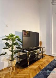 リエカにあるPortaKorzo Center Apartmentのリビングルーム(テレビ、鉢植え付)