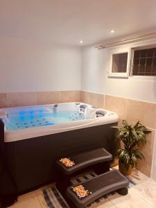 a bathroom with a tub with a plant in it at Léchappée Belle in Brignoles +21 photos
