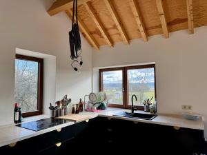 a kitchen with a sink and two windows and a counter at Maison dans les bois in Couvin