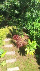 En have udenfor Pousada Rosa Bonita