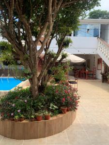 a tree in a flower bed next to a pool at Pousada Minha Casa- Aconchegante no Centro de São Lourenço in São Lourenço