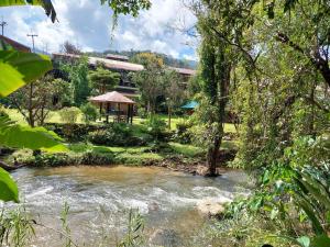 Ban Sop Mae KlangPloy&Praew House 2的树木丛生的建筑物前的河流