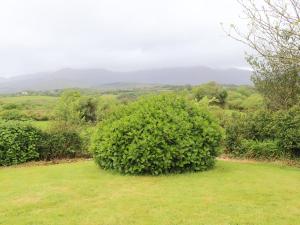Paesaggio naturale nelle vicinanze della casa vacanze