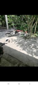 Imagem da galeria de APARTA-Refugio El Retiro Verde em Leticia