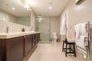 a bathroom with a sink and a shower and a toilet at Craigroy 2 Lakeshore apartment with conservatory in Queenstown +27 photos
