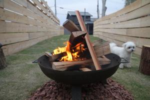 a dog is standing next to a fire pit at 古民家宿 AKIYA cornerstone 淡路島 サウナ ドッグラン in Awaji