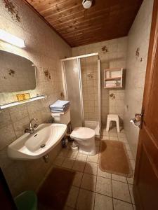 Kúpeľňa v ubytovaní Haus Bergblick