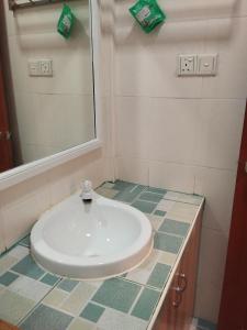 Koupelna v ubytování Equatorial Inn