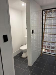 a bathroom with a toilet and a ladder in it at Sandbar views in Smiths Lake +27 photos