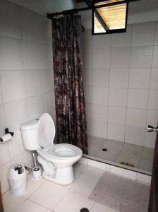 a bathroom with a toilet and a shower at Posada María E in Mucuchíes