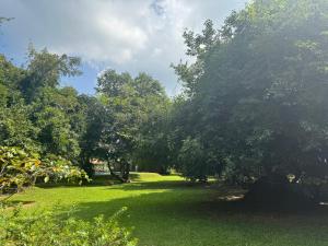 Zahrada ubytování Foresta Resort Sigiriya