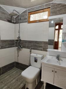 シェキにあるNarin Qala Resortのトイレと洗面台付きのバスルーム