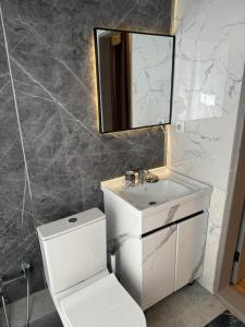 a bathroom with a toilet and a sink and a mirror at Ricco guest house in Bishkek