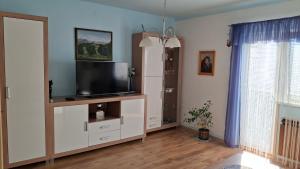 TV a/nebo společenská místnost v ubytování Apartma Arh