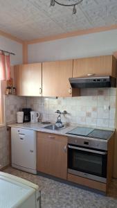 Kuchyň nebo kuchyňský kout v ubytování Apartma Arh