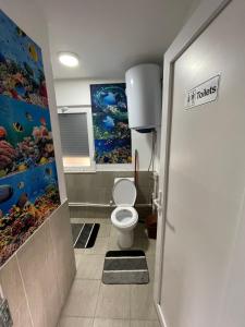 a bathroom with a toilet and an aquarium painting on the wall at Villa Taraxha in Mitrovica +8 photos