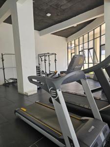 Fitness centrum a/nebo fitness zařízení v ubytování West Gem