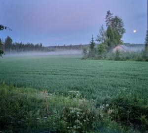 a field with fog in the middle of a field at KoloCabins - Hiitolanjoki 4 in Simpele
